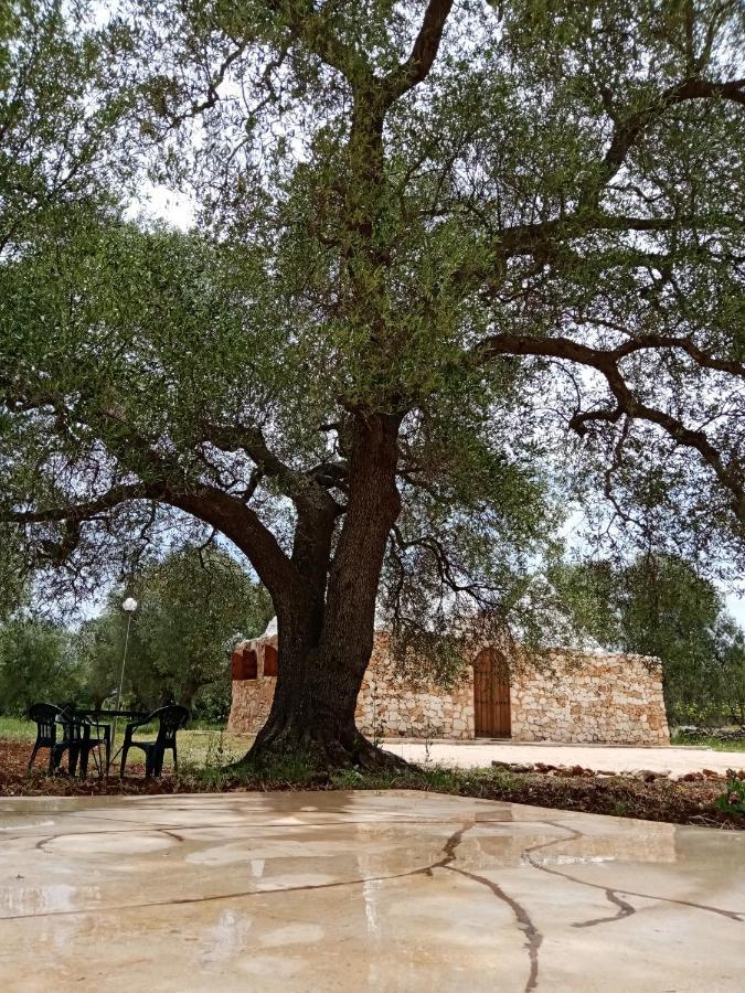 Trulli Monte Madre Βίλα San Vito dei Normanni Εξωτερικό φωτογραφία