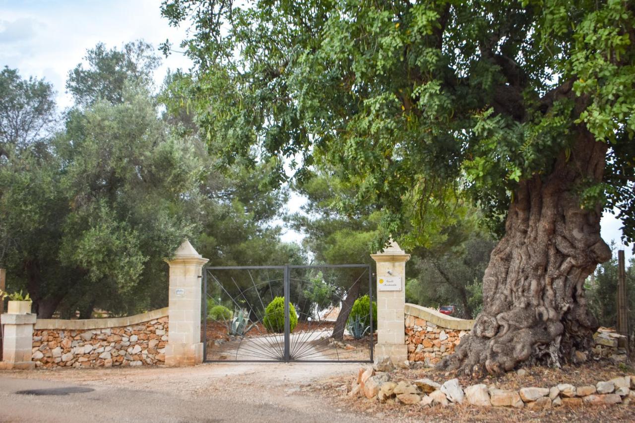 Trulli Monte Madre Βίλα San Vito dei Normanni Εξωτερικό φωτογραφία
